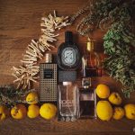 عطر ادکلن نات او ابسولو بوتگا ونتا - Knot Eau Absolue Bottega Veneta - بررسی، قیمت و خرید