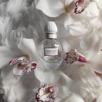 عطر ادکلن مک کویین او بلانش الکساندر مک کوئین - McQueen Eau Blanche Alexander McQueen - بررسی، قیمت و خرید