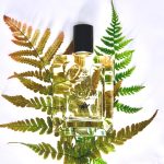 عطر ادکلن نومَد کربتری اند اویلین - Nomad Crabtree & Evelyn - بررسی، قیمت و خرید