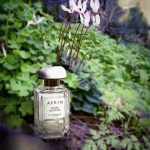 عطر ادکلن ایجی بلاسم آرین - Aegea Blossom Aerin - بررسی، قیمت و خرید