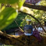 عطر ادکلن آرتیستیک ویستریا سابلایم اِیوُن - Artistique Wisteria Sublime Avon - بررسی، قیمت و خرید