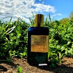 عطر ادکلن عود سفیر آتیلیه کلن - Oud Saphir Atelier Cologne - بررسی، قیمت و خرید
