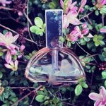 عطر ادکلن اندلس افوریا کلوین کلاین - Endless Euphoria Calvin Klein - بررسی، قیمت و خرید