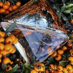 عطر ادکلن ریویل کلوین کلاین - Reveal Calvin Klein - بررسی، قیمت و خرید