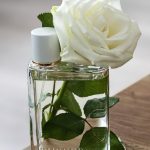 عطر ادکلن بربری هر ادو تویلت بربری - Burberry Her Eau de Toilette Burberry - بررسی، قیمت و خرید