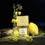 عطر ادکلن سال و لیمون کارنر بارسلونا - Sal Y Limon Carner Barcelona - بررسی، قیمت و خرید