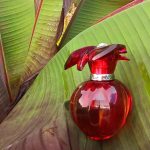 عطر ادکلن دلیسس د کارتیر او دو پرفیوم کارتیر - Delices De Cartier Eau de Parfum Cartier - بررسی، قیمت و خرید