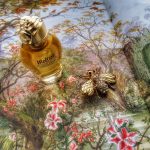 عطر ادکلن ملیسا شارری پارفومز - Mélissa Charrier Parfums - بررسی، قیمت و خرید