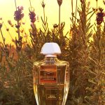 عطر ادکلن ابدین لاوندر کرید - Aberdeen Lavender Creed - بررسی، قیمت و خرید