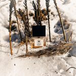 عطر ادکلن دی ششصد کارنر بارسلونا - D600 Carner Barcelona - بررسی، قیمت و خرید