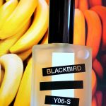 عطر ادکلن وای شش اس بلک‌برد - Y06-S Blackbird - بررسی، قیمت و خرید
