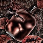 عطر ادکلن ذا لایبرری کالکشن اپوس فور آمواژ - The Library Collection Opus IV Amouage - بررسی، قیمت و خرید