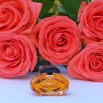 عطر ادکلن آن کلاین ۲ آن کلاین - Anne Klein 2 Anne Klein - بررسی، قیمت و خرید