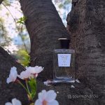 عطر ادکلن دونت کرای فور می آلتایا - Don't Cry For Me ALTAIA - بررسی، قیمت و خرید