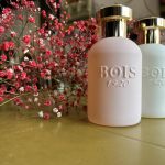 عطر ادکلن اوروروسا بوی ۱۹۲۰ - Oro Rosa Bois 1920 - بررسی، قیمت و خرید