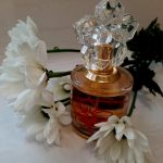 عطر ادکلن اون لایف بای کنزو تاکادا فور هر ایوون - Avon Life by Kenzo Takada for Her Avon - بررسی، قیمت و خرید