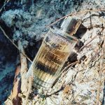 عطر ادکلن ایناموراتا بلومارین - Innamorata Blumarine - بررسی، قیمت و خرید