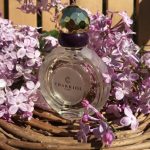 عطر ادکلن چاریول ادو تویلت چاریول - Charriol Eau de Toilette Charriol - بررسی، قیمت و خرید