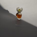 عطر ادکلن کلوئه نارسیس کلوئه - Chloé Narcisse Chloé - بررسی، قیمت و خرید