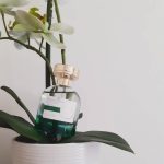 عطر ادکلن ماگنولیا ان فلور اِیوون - Magnolia en Fleurs Avon - بررسی، قیمت و خرید