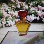 عطر ادکلن ایل باچو بورقیسه - Il Bacio Borghese - بررسی، قیمت و خرید