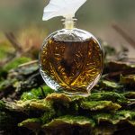 عطر ادکلن هیسطور دَموغ اوبوسون - Histoire D'Amour Aubusson - بررسی، قیمت و خرید