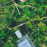 عطر ادکلن اسپرینگ بریز کلین - Spring Breeze Clean - بررسی، قیمت و خرید