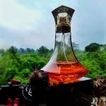 عطر ادکلن هیت راش بیانسه - Heat Rush Beyoncé - بررسی، قیمت و خرید