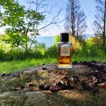عطر ادکلن له اکسلوسیف د چنل ۳۱ رو کامبون شنل - Les Exclusifs de Chanel 31 Rue Cambon Chanel - بررسی، قیمت و خرید