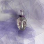 عطر ادکلن مای کویین دیلاکس ادیشن الکساندر مک‌کوئین - My Queen Deluxe Edition Alexander McQueen - بررسی، قیمت و خرید