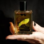عطر ادکلن جازمین ایکس کلاموس آوانت گاردن لب - J4SM1NE x CAL4MUS Avant-Garden Lab - بررسی، قیمت و خرید