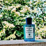 عطر ادکلن آکوا دی پارما بلو مدیترانه - چیپرسو دی توسکانا آکوا دی پارما - Acqua di Parma Blu Mediterraneo - Cipresso di Toscana Acqua di Parma - بررسی، قیمت و خرید