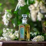 عطر ادکلن کالیفرنیا انیورسری کیپسیک وایت لیلاک ای-وِن - California Anniversary Keepsake White Lilac Avon - بررسی، قیمت و خرید