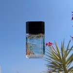 عطر ادکلن آزارو پور هوم سامر ادیشن ۲۰۱۳ آزارو - Azzaro Pour Homme Summer Edition 2013 Azzaro - بررسی، قیمت و خرید