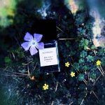 عطر ادکلن سی‌سالت کارامل بوهوبوکو - Sea Salt Caramel Bohoboco - بررسی، قیمت و خرید