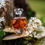 عطر ادکلن پروزرفینا کازموگانی - Proserphina Cosmogony - بررسی، قیمت و خرید