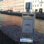 عطر ادکلن تمپتینگ برگاموت آنجل شلسر - Tempting Bergamot Angel Schlesser - بررسی، قیمت و خرید