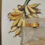 عطر ادکلن اُ دو کریستوبال بالنسیاگا - Eau de Cristobal Balenciaga - بررسی، قیمت و خرید