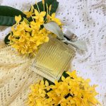 عطر ادکلن لو د کلوئه کلوئه - L'Eau de Chloe Chloé - بررسی، قیمت و خرید