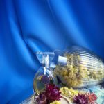 عطر ادکلن آکواریوس سی ان آر کریت - Aquarius CnR Create - بررسی، قیمت و خرید