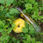 عطر ادکلن اُ دو رژلیس کَرون - Eau de Reglisse (Liquorice) Caron - بررسی، قیمت و خرید