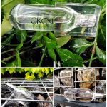 عطر ادکلن سی کی تو کلوین کلاین - CK2 Calvin Klein - بررسی، قیمت و خرید