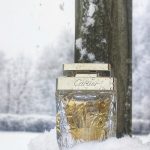 عطر ادکلن لا پانتر او دو پرفیوم لجر ایدیشین لیمیتیه کارتیر - La Panthere Eau de Parfum Legere Edition Limitee Cartier - بررسی، قیمت و خرید