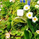 عطر ادکلن چنس او فرش شانل - Chance Eau Fraiche Chanel - بررسی، قیمت و خرید