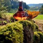 عطر ادکلن سیکرت آبسشن کلوین کلاین - Secret Obsession Calvin Klein - بررسی، قیمت و خرید