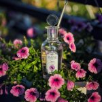 عطر ادکلن چرنایا سمورادینا ای میتا بروکارد - Черная смородина и мята - Black currant and Mint Brocard - بررسی، قیمت و خرید