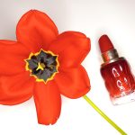 عطر ادکلن یس آی ام بلوم آپ کاچارل - Yes I Am Bloom Up! Cacharel - بررسی، قیمت و خرید