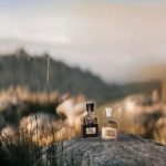 عطر ادکلن اونتوس فور هر کرید - Aventus for Her Creed - بررسی، قیمت و خرید