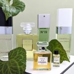 عطر ادکلن بل رسپیریو ادو پرفیوم شنل - Bel Respiro Eau de Parfum Chanel - بررسی، قیمت و خرید