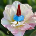 عطر ادکلن لولو کاشارل - LouLou Cacharel - بررسی، قیمت و خرید